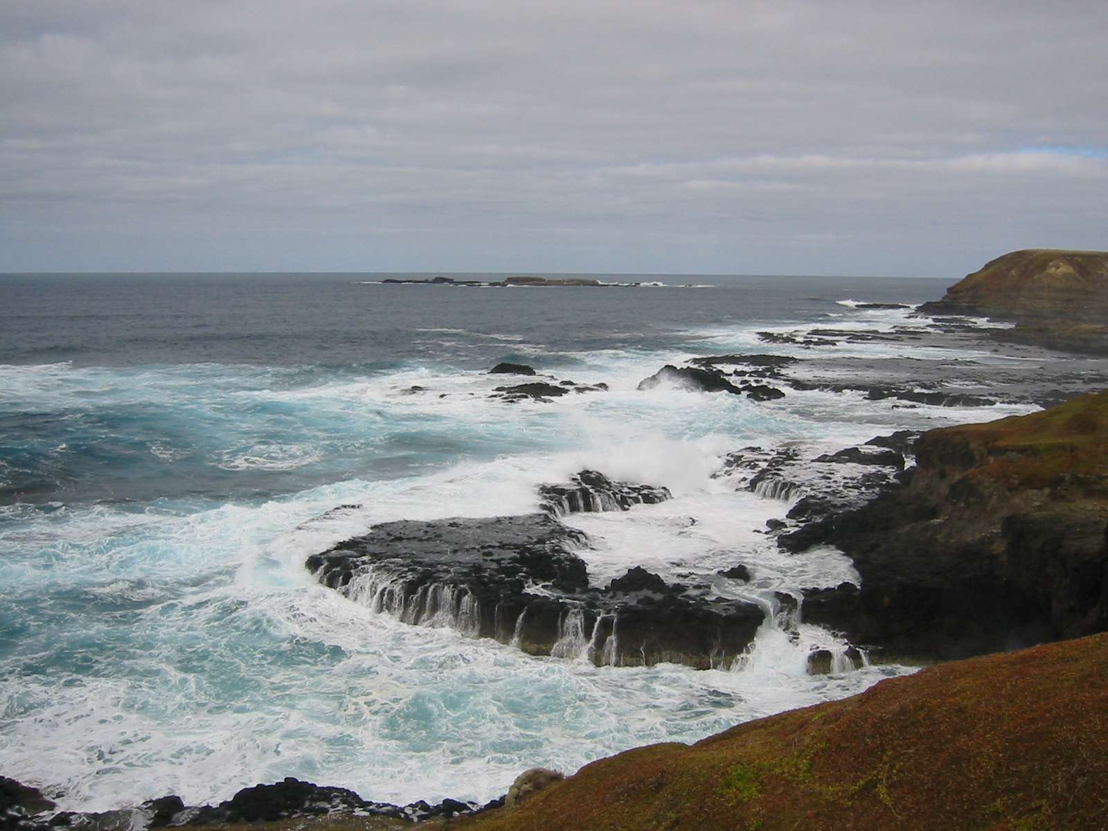 The wild coast at the Nobbies, Phillip Island